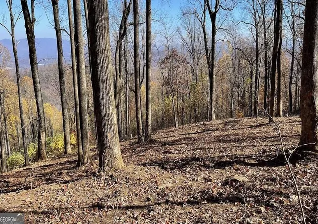 Photo 2 of Land for sale at 00 Andes Ridge, Jasper, GA 30143 | MLS# 10879461 | Listing updated on 2026-10-30