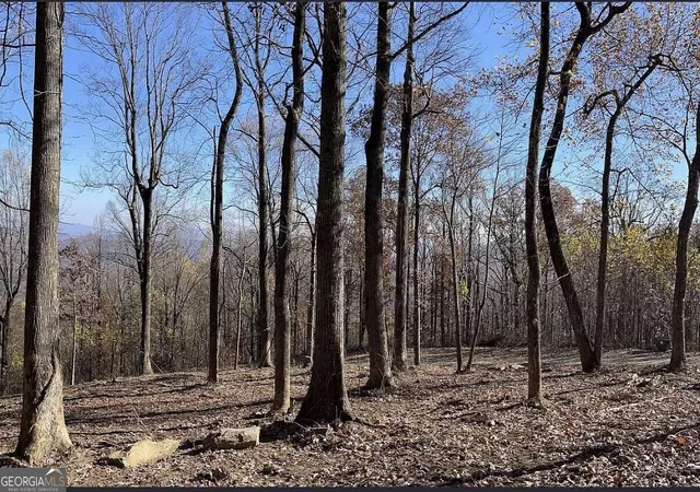 Photo 3 of Land for sale at 00 Andes Ridge, Jasper, GA 30143 | MLS# 10879461 | Listing updated on 2026-10-30