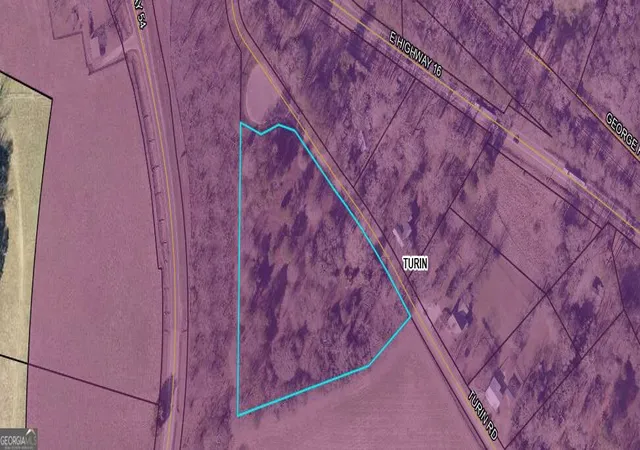Land for sale at 0 Turin Rd, Senoia, GA 30276 | MLS# 10852725