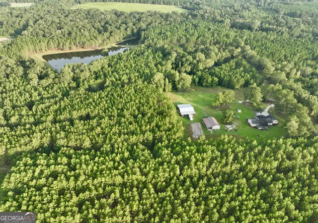 Photo 3 of Land for sale at 652 L A Peterson Rd, Rhine, GA 31077 | MLS# 10839978 | Listing updated on 2026-09-18