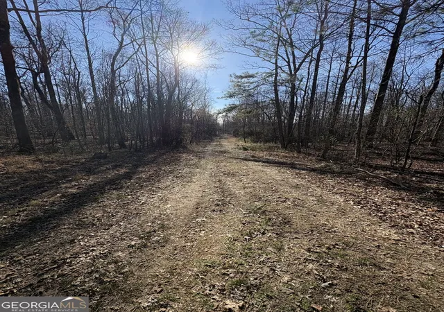 Photo 3 of Land for sale at Tract 6 Stonepile Rd, Clarkesville, GA 30523 | MLS# 10842826 | Listing updated on 2026-09-23