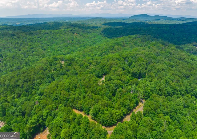 Photo 4 of Land for sale at 47ac Mountain Crk Holw Dr, Talking Rock, GA 30175 | MLS# 10852760 | Listing updated on 2026-10-08