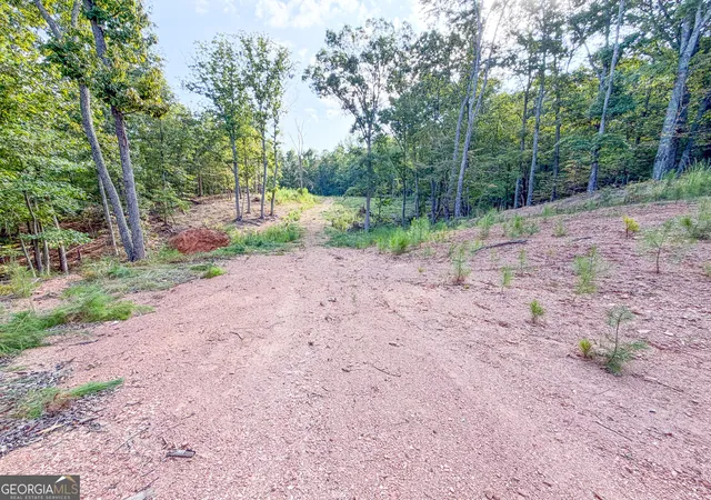 Photo 3 of Land for sale at 334 Lefevers Rd, Cedartown, GA 30125 | MLS# 10844805 | Listing updated on 2026-09-28