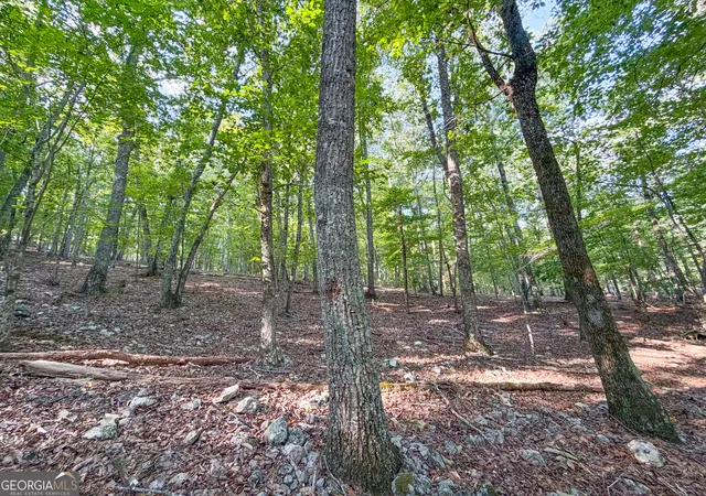 Photo 3 of Land for sale at 334 Lefevers Rd, Cedartown, GA 30125 | MLS# 10844805 | Listing updated on 2026-09-28