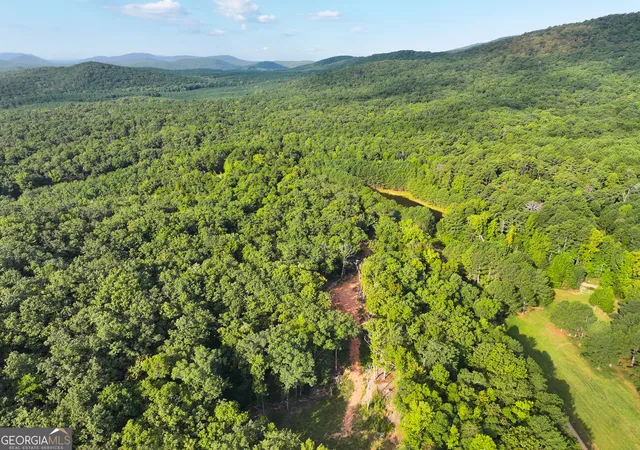 Photo 4 of Land for sale at 334 Lefevers Rd, Cedartown, GA 30125 | MLS# 10844805 | Listing updated on 2026-09-28