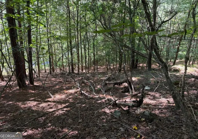 Photo 1 of Land for sale at Lot 25 Trailwood Dr, Blairsville, GA 30512 | MLS# 10838924 | Listing updated on 2026-09-17