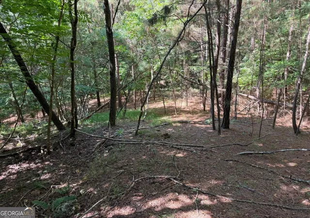 Photo 2 of Land for sale at Lot 25 Trailwood Dr, Blairsville, GA 30512 | MLS# 10838924 | Listing updated on 2026-09-17