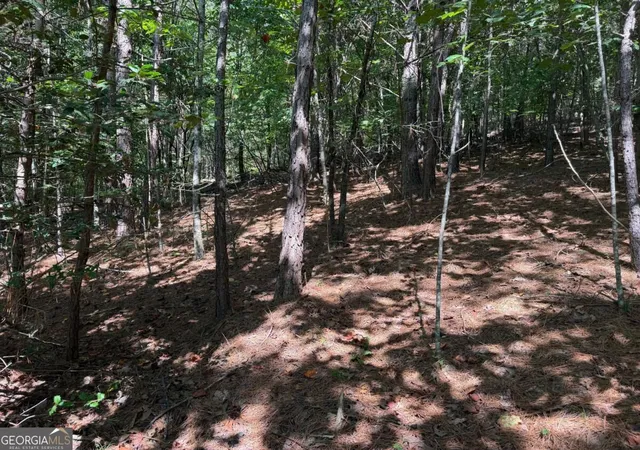 Photo 3 of Land for sale at Lot 25 Trailwood Dr, Blairsville, GA 30512 | MLS# 10838924 | Listing updated on 2026-09-17