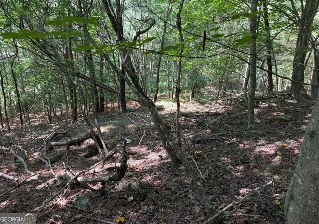 Photo 3 of Land for sale at Lot 25 Trailwood Dr, Blairsville, GA 30512 | MLS# 10838924 | Listing updated on 2026-09-17