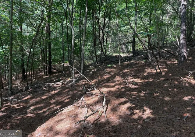 Photo 4 of Land for sale at Lot 25 Trailwood Dr, Blairsville, GA 30512 | MLS# 10838924 | Listing updated on 2026-09-17