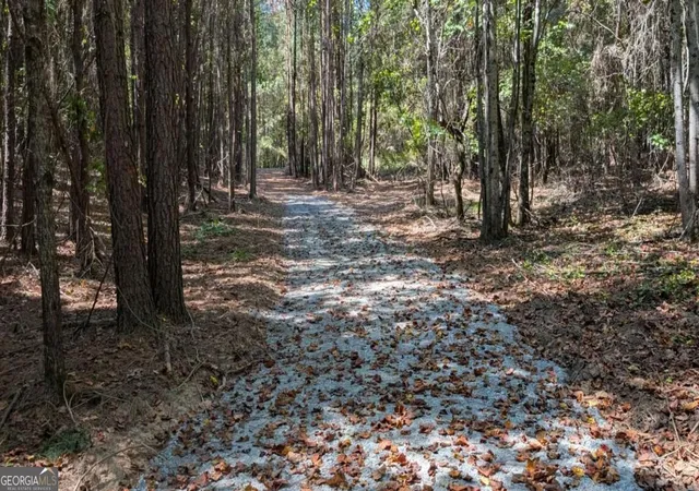 Photo 3 of Land for sale at 1124 Ballard Rd, Ball Ground, GA 30107 | MLS# 10851137 | Listing updated on 2026-10-06
