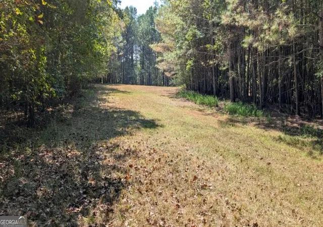 Photo 3 of Land for sale at 1124 Ballard Rd, Ball Ground, GA 30107 | MLS# 10851137 | Listing updated on 2026-10-06