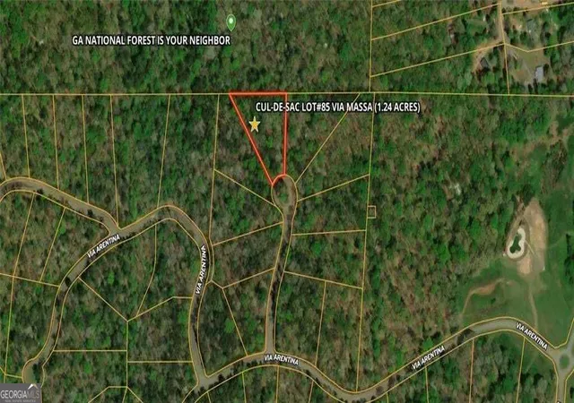 Land for sale at 85 Via Massa, Dahlonega, GA 30533 | MLS# 10853597