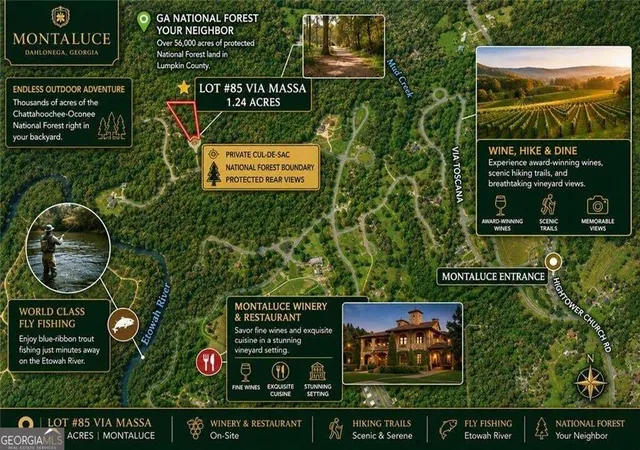 Photo 3 of Land for sale at 85 Via Massa, Dahlonega, GA 30533 | MLS# 10853597 | Listing updated on 2026-10-09
