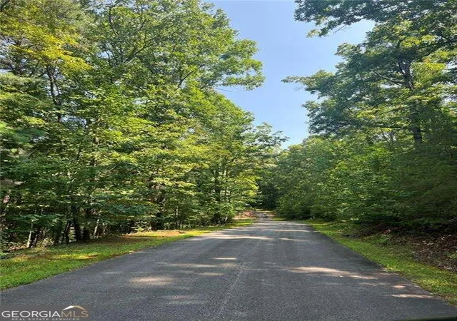 Photo 3 of Land for sale at 85 Via Massa, Dahlonega, GA 30533 | MLS# 10853597 | Listing updated on 2026-10-30