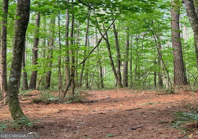Photo 3 of Land for sale at Lot 8 Pettit Rd, Jasper, GA 30143 | MLS# 10878321 | Listing updated on 2026-10-30