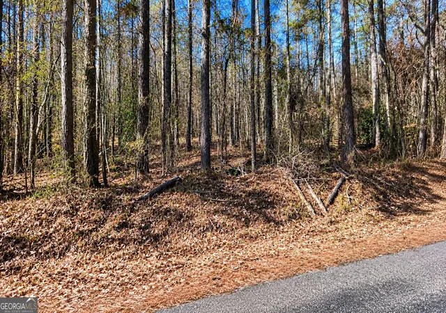 Photo 3 of Sale Pending at 0 Tolbert Rd, Temple, GA 30153 | MLS# 10853711 | Listing updated on 2026-10-05