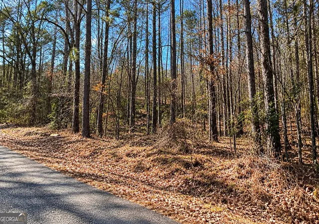 Photo 3 of Sale Pending at 0 Tolbert Rd, Temple, GA 30153 | MLS# 10853711 | Listing updated on 2026-10-05
