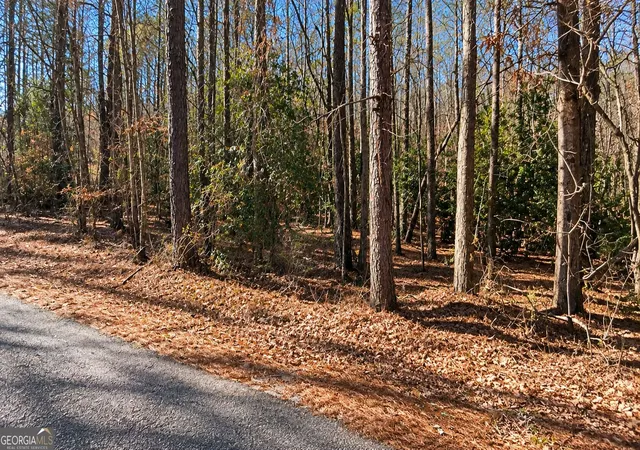 Photo 4 of Sale Pending at 0 Tolbert Rd, Temple, GA 30153 | MLS# 10853711 | Listing updated on 2026-10-05
