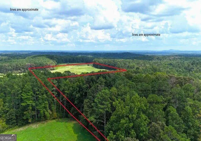 Photo 4 of Land for sale at 00001 Steadman Rd, Tallapoosa, GA 30176 | MLS# 10839997 | Listing updated on 2026-09-18