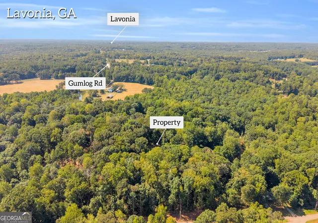 Photo 3 of Land for sale at 0 Ridgeview Ct, Lavonia, GA 30553 | MLS# 10840938 | Listing updated on 2026-09-05