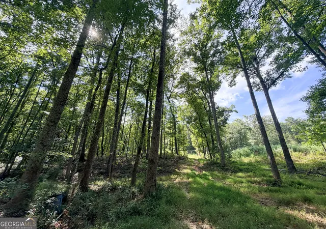 Photo 2 of Land for sale at 1620 Cross Plains Hulett Rd, Carrollton, GA 30116 | MLS# 10851549 | Listing updated on 2026-10-07