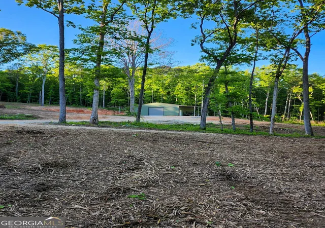 Photo 3 of Land for sale at 1620 Cross Plains Hulett Rd, Carrollton, GA 30116 | MLS# 10851549 | Listing updated on 2026-10-07