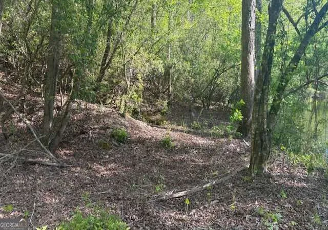 Photo 3 of Land for sale at 01 Highway 136 W, Talking Rock, GA 30175 | MLS# 10840191 | Listing updated on 2026-09-18