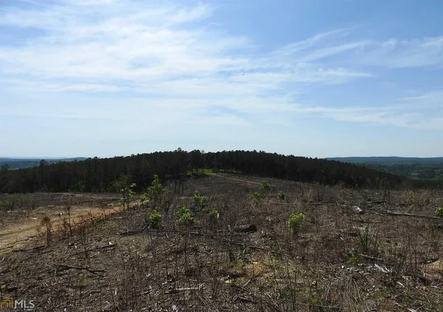 Photo 3 of Land for sale at 0 Griffin Rd, Cartersville, GA 30120 | MLS# 10841448 | Listing updated on 2026-09-07