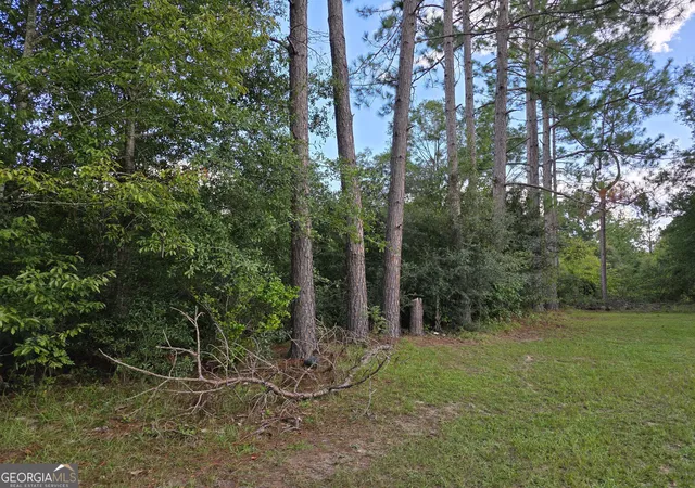 Photo 1 of Land for sale at 0 Melvin Ln Se, Baxley, GA 31513 | MLS# 10841207 | Listing updated on 2026-09-20
