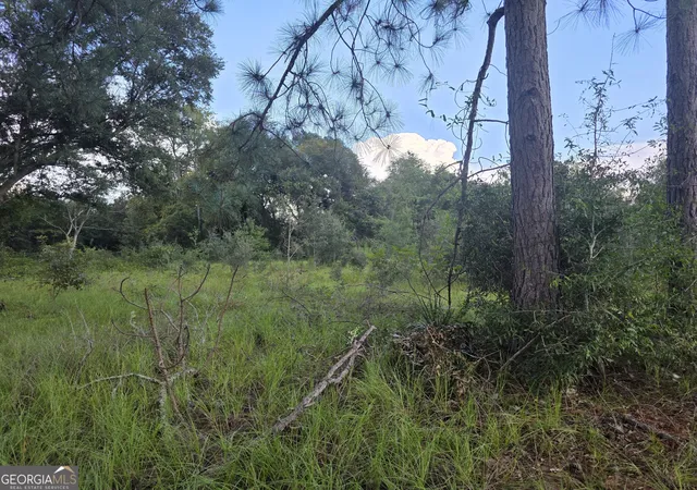 Photo 2 of Land for sale at 0 Melvin Ln Se, Baxley, GA 31513 | MLS# 10841207 | Listing updated on 2026-09-20