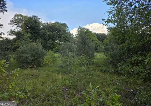 Photo 3 of Land for sale at 0 Melvin Ln Se, Baxley, GA 31513 | MLS# 10841207 | Listing updated on 2026-09-20