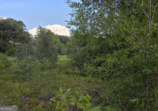 Photo 3 of Land for sale at 0 Melvin Ln SE, Baxley, GA 31513 | MLS# 10841207 | Listing updated on 2026-09-20
