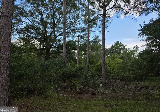 Photo 4 of Land for sale at 0 Melvin Ln SE, Baxley, GA 31513 | MLS# 10841207 | Listing updated on 2026-09-20