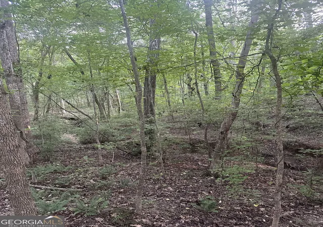 Photo 2 of Land for sale at 1946 Acres Tommy Lee Cook Rd, Newnan, GA 30263 | MLS# 10846481 | Listing updated on 2026-10-03