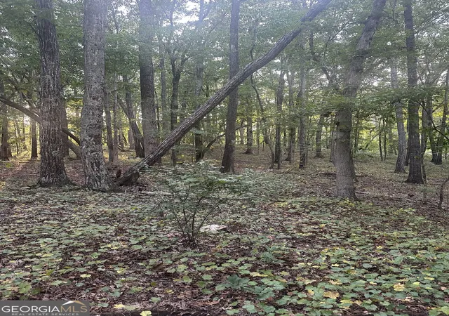 Photo 3 of Land for sale at 1946 Acres Tommy Lee Cook Rd, Newnan, GA 30263 | MLS# 10846481 | Listing updated on 2026-10-03