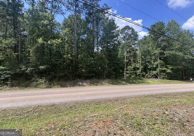Photo 1 of Land for sale at 679 Freedom Dr, Martin, GA 30557 | MLS# 10839492 | Listing updated on 2026-09-03