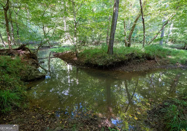 Land for sale at 12 Bunch Rd, Tignall, GA 30668 | MLS# 10844820
