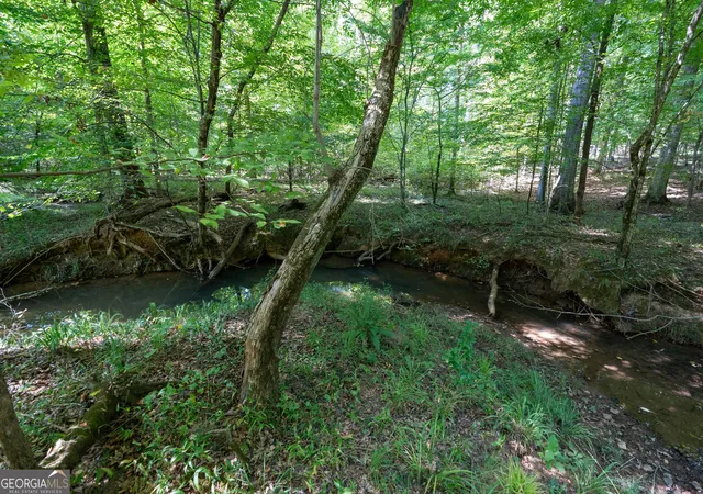 Photo 1 of Land for sale at 12 Bunch Rd, Tignall, GA 30668 | MLS# 10844820 | Listing updated on 2026-09-23
