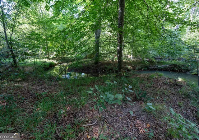Photo 2 of Land for sale at 12 Bunch Rd, Tignall, GA 30668 | MLS# 10844820 | Listing updated on 2026-09-23
