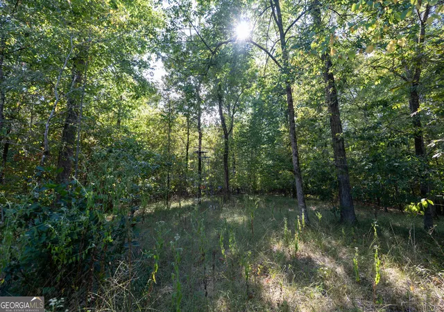 Photo 4 of Land for sale at 12 Bunch Rd, Tignall, GA 30668 | MLS# 10844820 | Listing updated on 2026-09-23