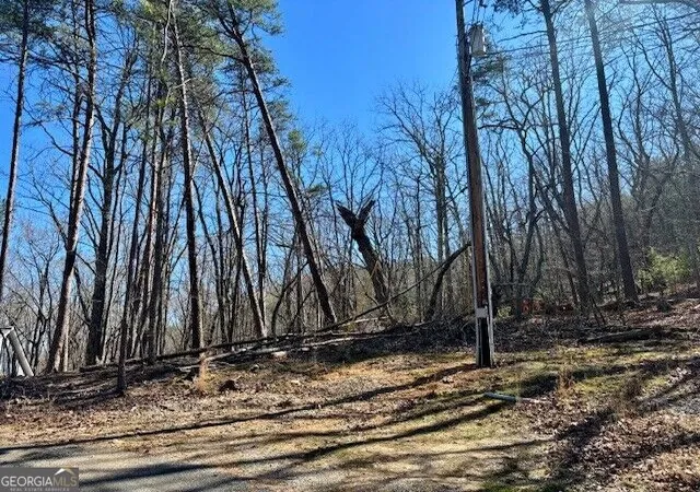 Photo 1 of Land for sale at 125 Gum Wood Ct, Waleska, GA 30183 | MLS# 10847269 | Listing updated on 2026-09-30