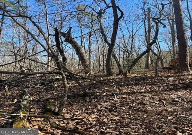 Photo 2 of Land for sale at 125 Gum Wood Ct, Waleska, GA 30183 | MLS# 10847269 | Listing updated on 2026-09-30