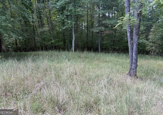 Photo 1 of Land for sale at #41 Meadow Brooke Dr, Young Harris, GA 30582 | MLS# 10845776 | Listing updated on 2026-09-28