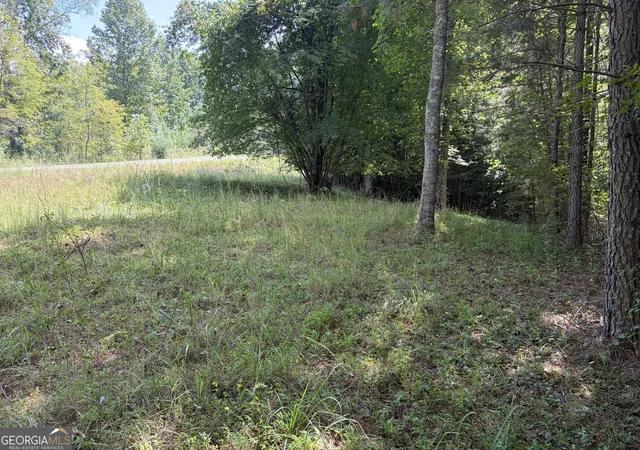 Photo 2 of Land for sale at #41 Meadow Brooke Dr, Young Harris, GA 30582 | MLS# 10845776 | Listing updated on 2026-09-28