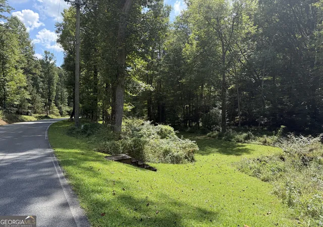 Photo 2 of Sale Pending at 613 Ac Lucius Rd, Cherry Log, GA 30522 | MLS# 10850167 | Listing updated on 2026-09-22