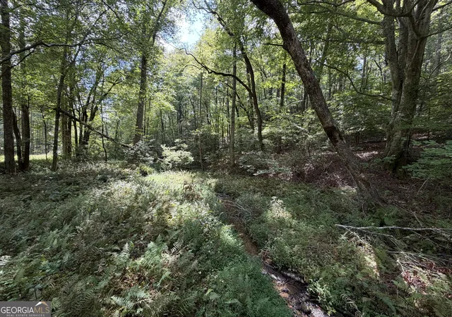Photo 3 of Sale Pending at 613 Ac Lucius Rd, Cherry Log, GA 30522 | MLS# 10850167 | Listing updated on 2026-09-22