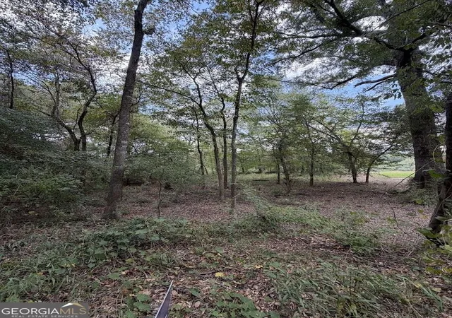 Photo 3 of Land for sale at 761 Addie S Aly, Jesup, GA 31545 | MLS# 10843675 | Listing updated on 2026-09-24