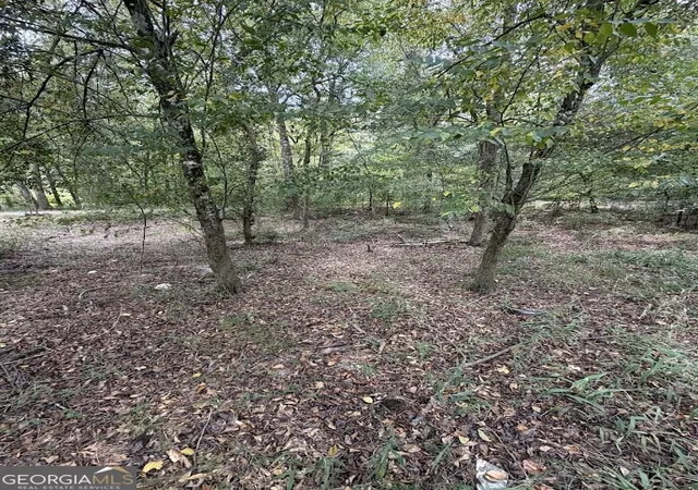 Photo 3 of Land for sale at 761 Addie S Aly, Jesup, GA 31545 | MLS# 10843675 | Listing updated on 2026-09-24