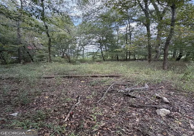 Photo 4 of Land for sale at 761 Addie S Aly, Jesup, GA 31545 | MLS# 10843675 | Listing updated on 2026-09-24